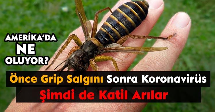 Once Grip Salgini Sonra Koronavirus Simdi De Katil Arilar