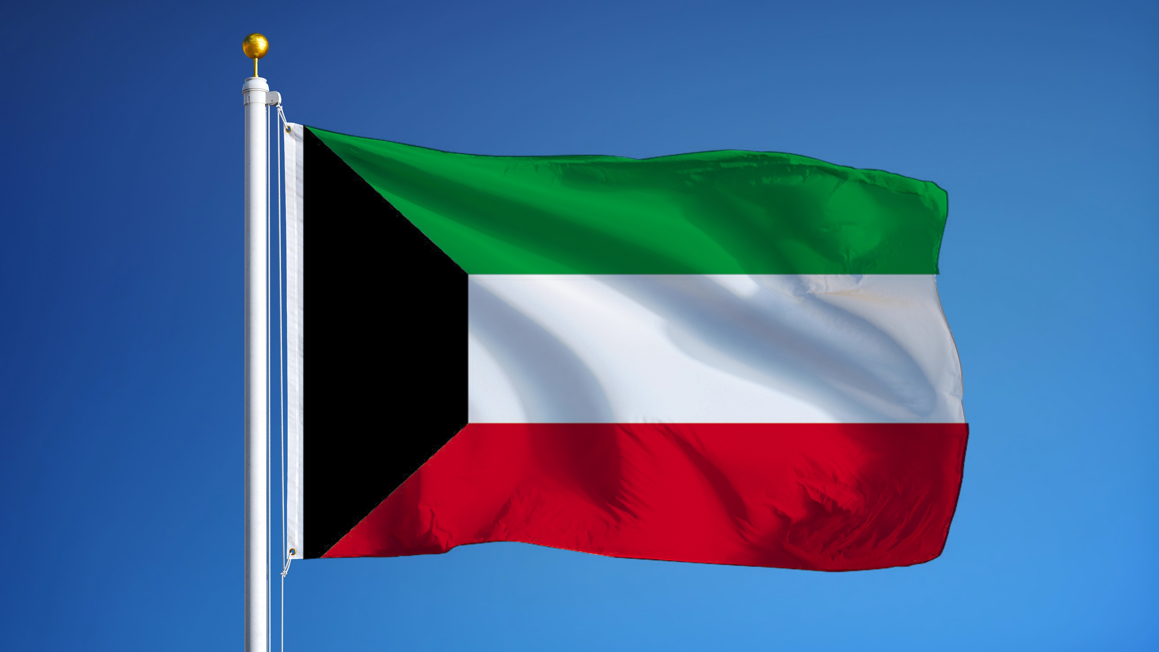 флаг арабские эмираты фото картинки